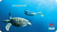 Diver certificate